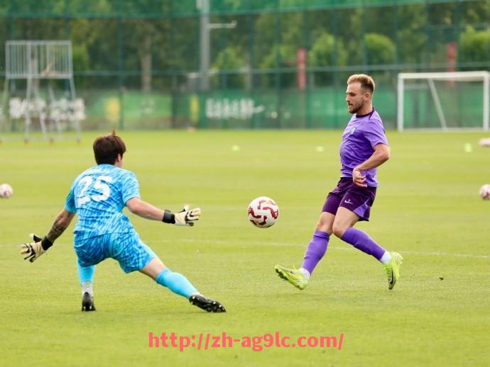 ag9游会-NBA掘金队现役球员名单及阵容深度分析